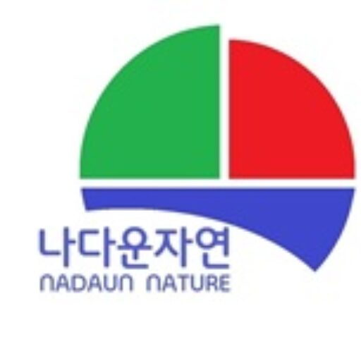 다운뉴스